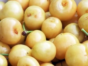“Equilibrio” a la hora de hacer una dieta