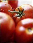 Tarta de tomates, albahaca y muzzarella