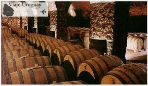 el-vino-tannat-de-uruguay1