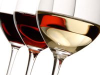 ¿Cuál es el orden correcto a la hora de servir los vinos?